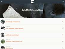 Tablet Screenshot of markt.labradorpagina.nl